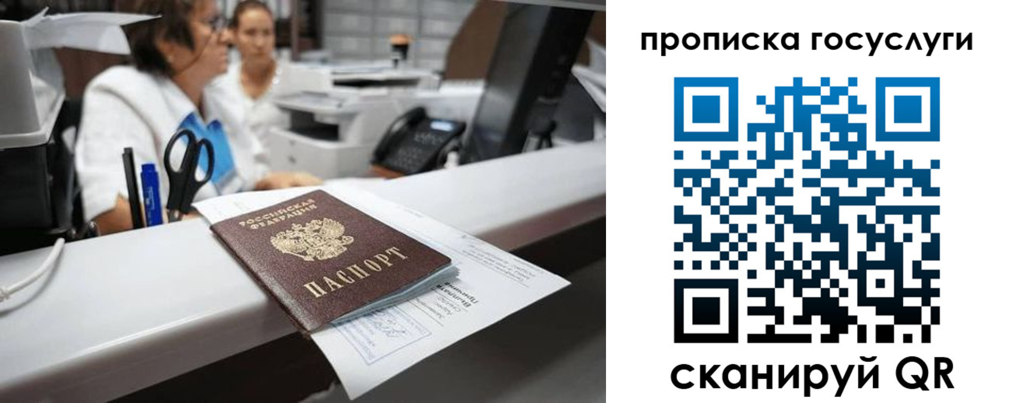 где прописаться в Димитровграде