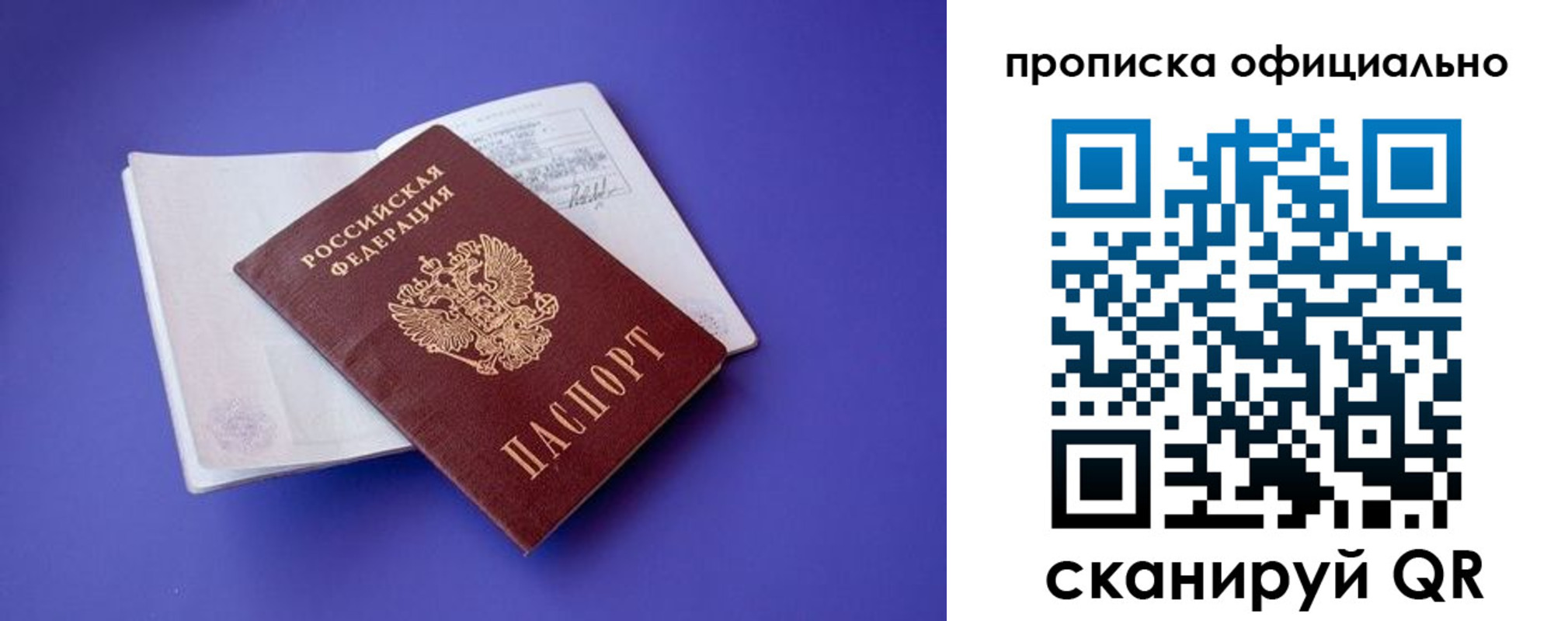 временная прописка в Димитровграде